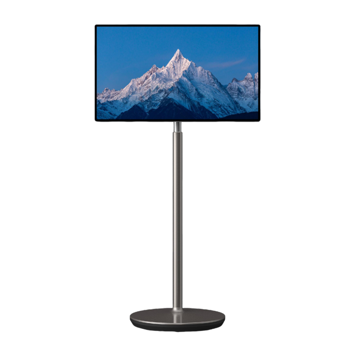 Mobile Stand TV